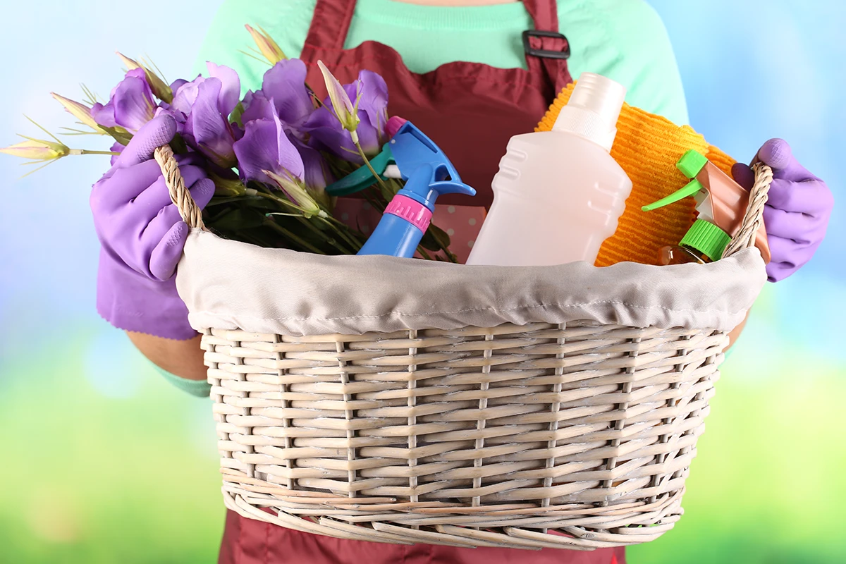 Ecodetergenza e prodotti per la casa